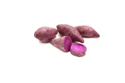 patatate douce legume ferme de berdin
